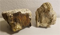 (2) Large Pieces Of Petrified Wood Approx 24lbs