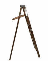 Johnson 6 ft ladder
