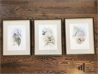 3 Matted and  Framed Prints of Birds