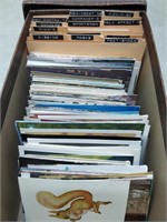 file drawer full of assorted post cards