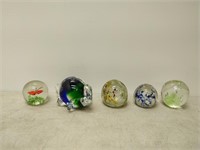 5 paper weights