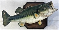 Florida Largemouth bass mount