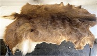 Whitetail deer hide