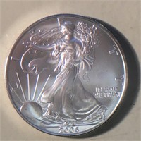 2006 Silver American Eagle