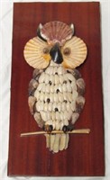 Seashell Owl Art on Plaque
