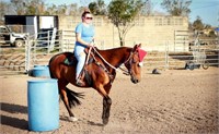 "Quasimodo" 2006 ASH Gelding