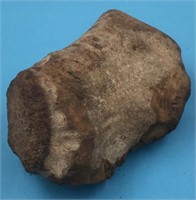 Ancient fossilized bone portion, 3.5"