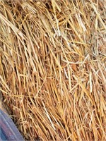 [x16] Round Bales oat straw twine tie
