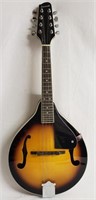savannah model sa 100 mandolin