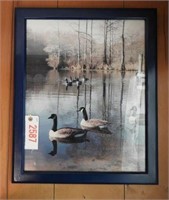 Frame Photo of Canada Geese on pond 16”x 20”