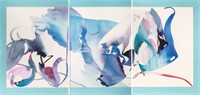 Peter Kitchell "Human Limit" Print Triptych