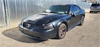 1999 Ford Mustang - GT - 35th Anniversary  #218386