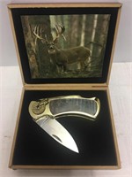 Knife in Deer Display Box