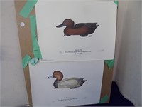 2Unframed Signed, Numbered Ducks Unlimited Prints