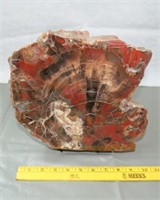 Petrified Wood