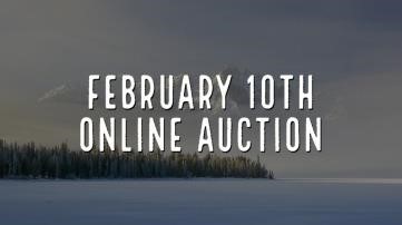 February 10th, 2021 Online Auction