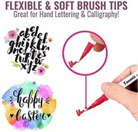 Dual Tip Brush Pens Art Markers by Tanmit, 0.4mm F