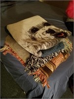 Blankets        (Missy the Bichon Frise)