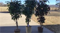 3 Faux trees