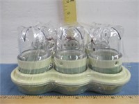 Baby Bullet Xtra Containers