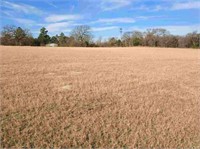 5 Acres for sale in Athens, TX