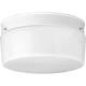 Flush Mount Ceiling Fixture w/White Glass Shade
