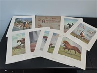 8 Piece Horse Prints Collection
