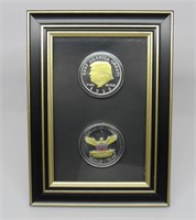 Framed Novelty Coins