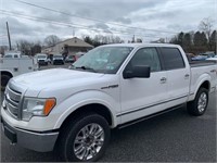 2010 Ford F150 4x4 Platinum