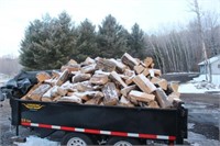 Trailer Load of Firewood