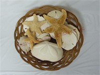 Basket of Sand Dollars & Star Fish