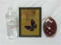 Vintage Framed Butterfly & Shell Art