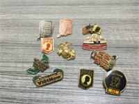 Vietnam veteran pins