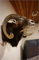 RAM MOUNT