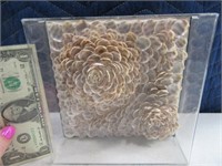 Neat Seashell Vietnam Handcrafted Box Wall Art 7"