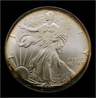 BB 2001 Americal Eagle .999 Silver Dollar