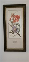 Trumpet creeper passion flower print approx size