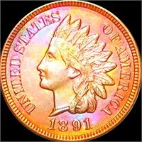 1891 Indian Head Penny CHOICE PROOF