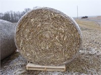 2020 Net-Wrapped 4X5 Corn Stalks Bales