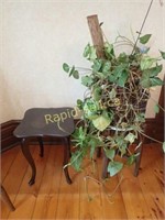Live Plant on Stand Plus Extra Plant Stand