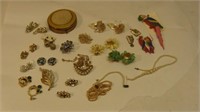 Vintage Broaches and Ear Rings