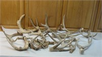 Many Deer Rattlers