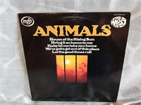 Animals. The most of