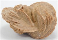 Desert Rose Gypsum Mineral from the Western