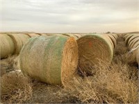 Panhandle Farmers & Ranchers HAY AUCTION