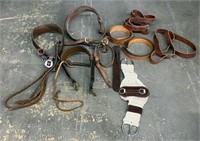 Leather Billet, Girths & Saddle Straps & More