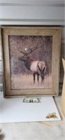 large elk picture