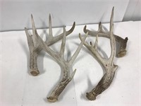 4 deer sheds. Assorted. 4 pounds