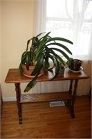 Lovely Wooden Plant Stand with 3 Plants,
