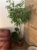 FICUS TREES SMALL FAUX PLANT